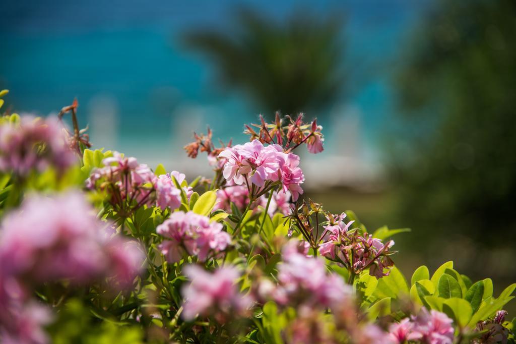 Krouzeri Beach Apartments Nisaki  客房 照片